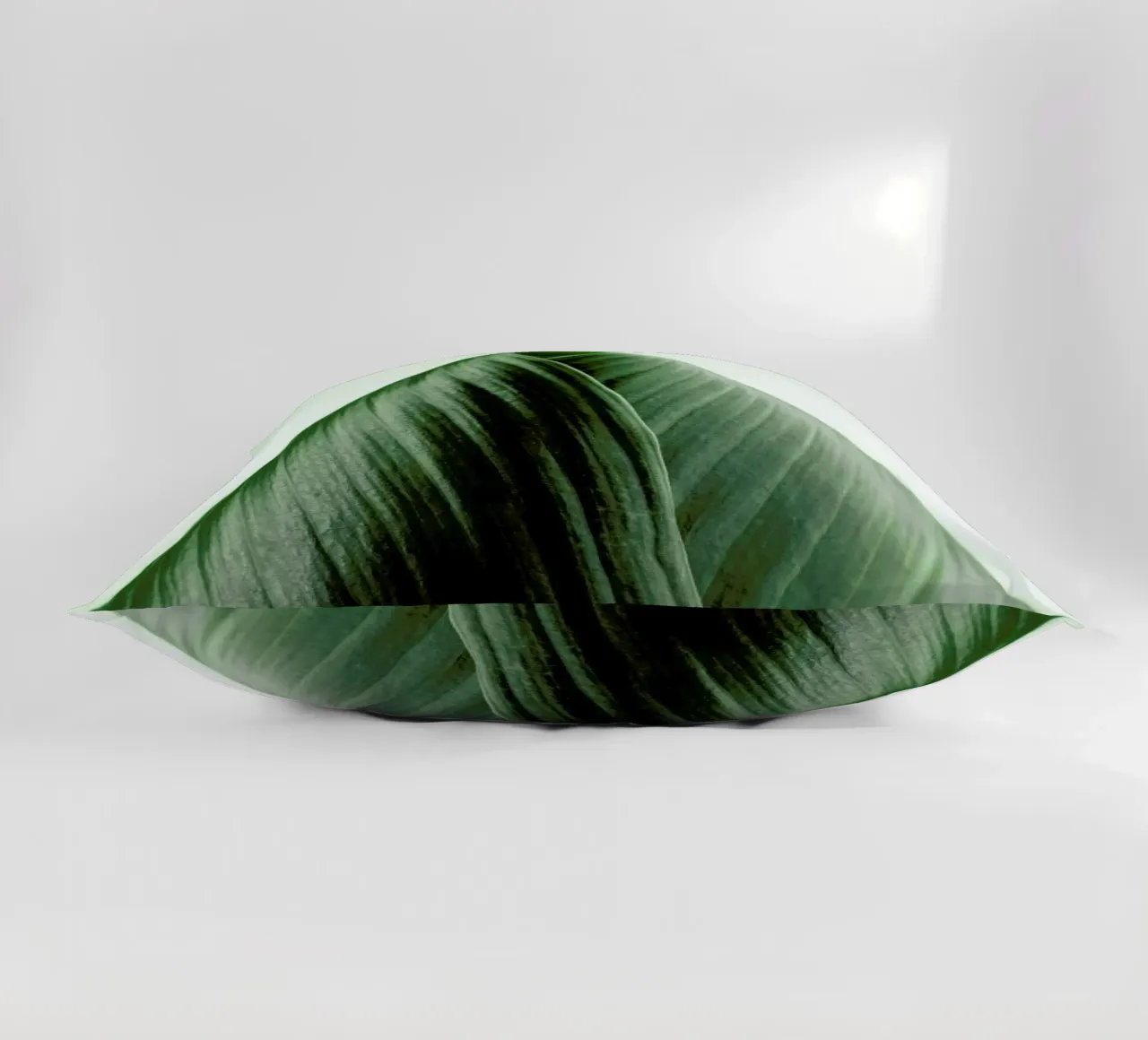 Natural Order cuscino da Flora & Fauna