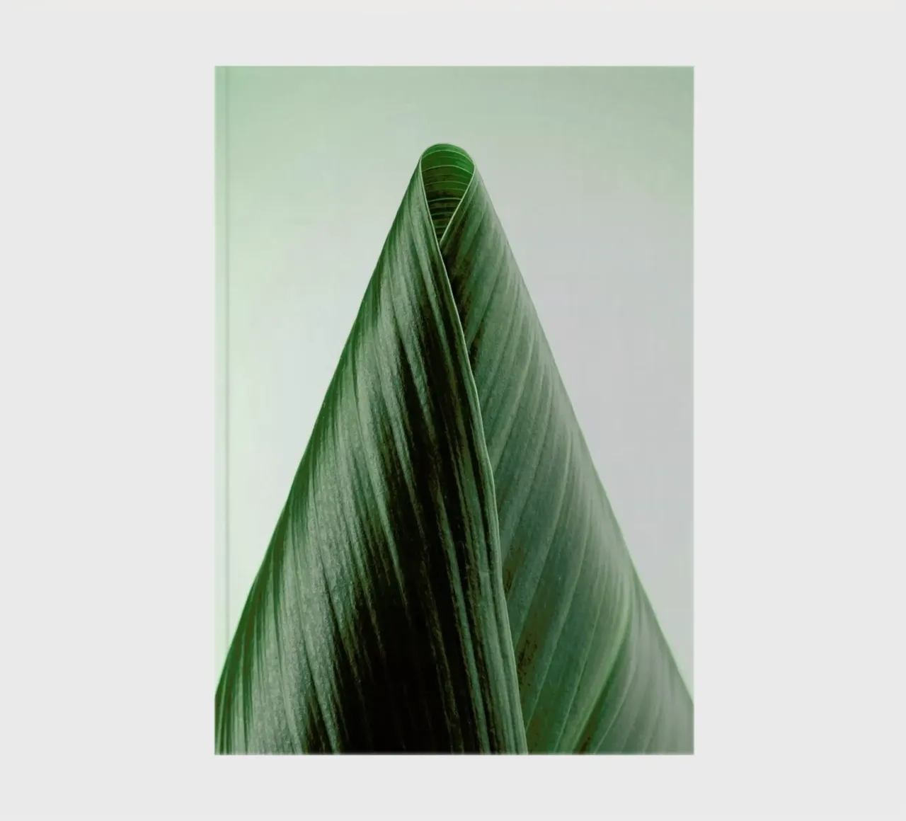 Natural Order notebook by Flora & Fauna