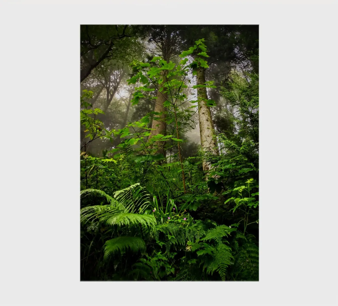 Forest #01: Emerald Canopy - Misty Forest Serenity notebook by zenitt