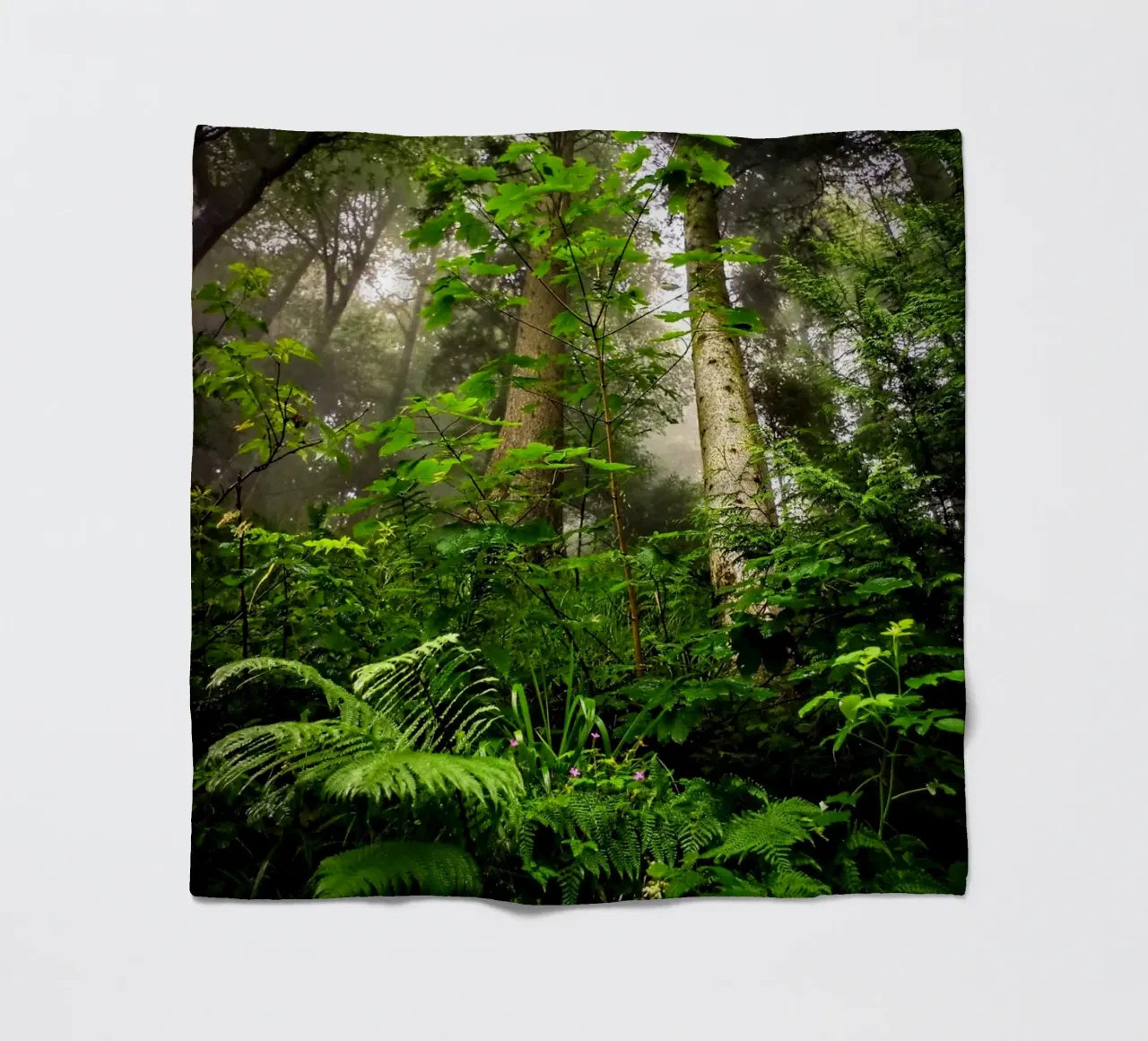 Forest #01: Emerald Canopy - Misty Forest Serenity coperta in pile da zenitt