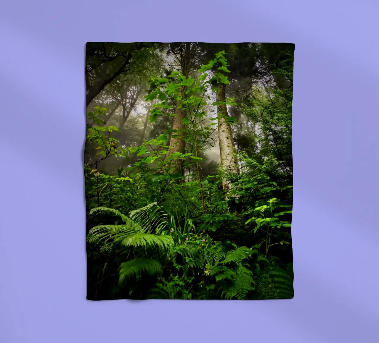 Forest #01: Emerald Canopy - Misty Forest Serenity coperta in pile da zenitt