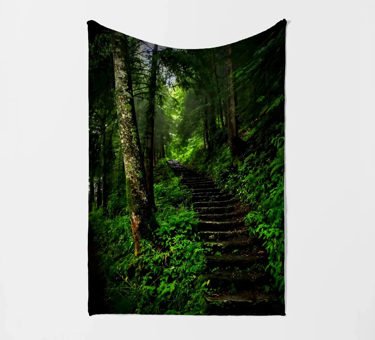 Forest #02: The Ascent - A Mossy Stairway coperta in pile da zenitt