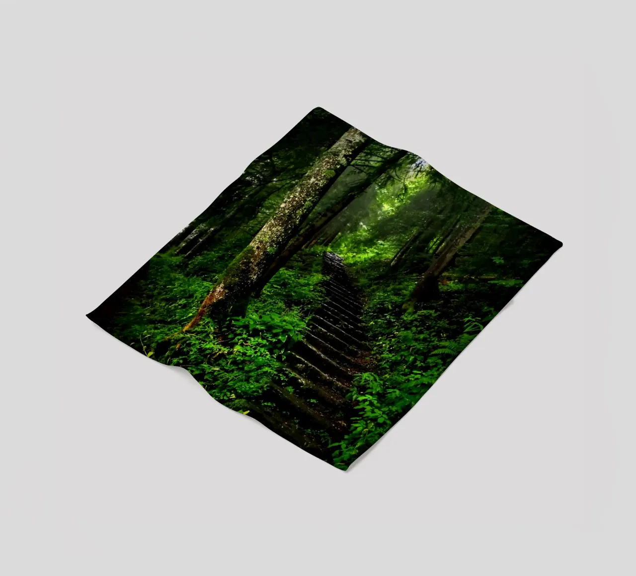 Forest #02: The Ascent - A Mossy Stairway coperta in pile da zenitt