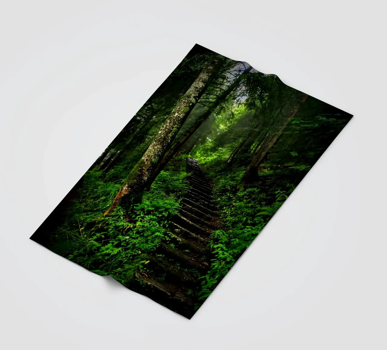 Forest #02: The Ascent - A Mossy Stairway coperta in pile da zenitt