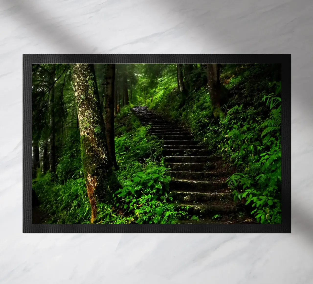 Forest #02: The Ascent - A Mossy Stairway zerbino da zenitt