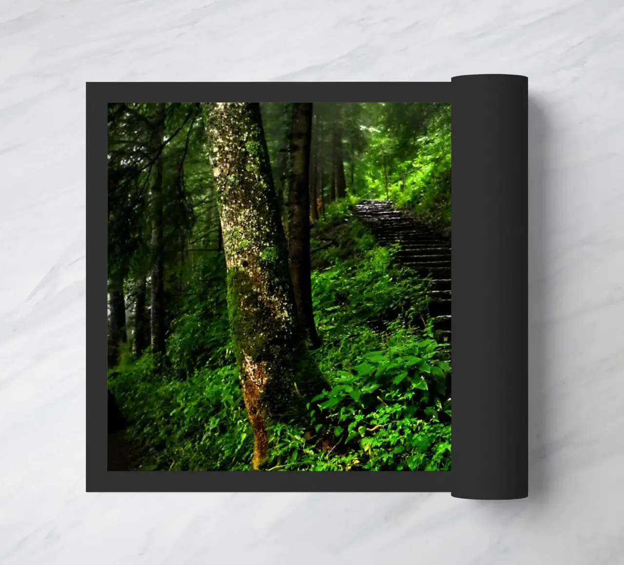 Forest #02: The Ascent - A Mossy Stairway zerbino da zenitt