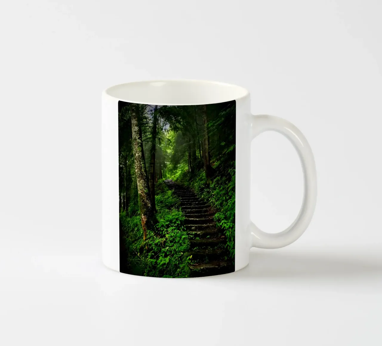 Forest #02: The Ascent - A Mossy Stairway tazza in ceramica da zenitt