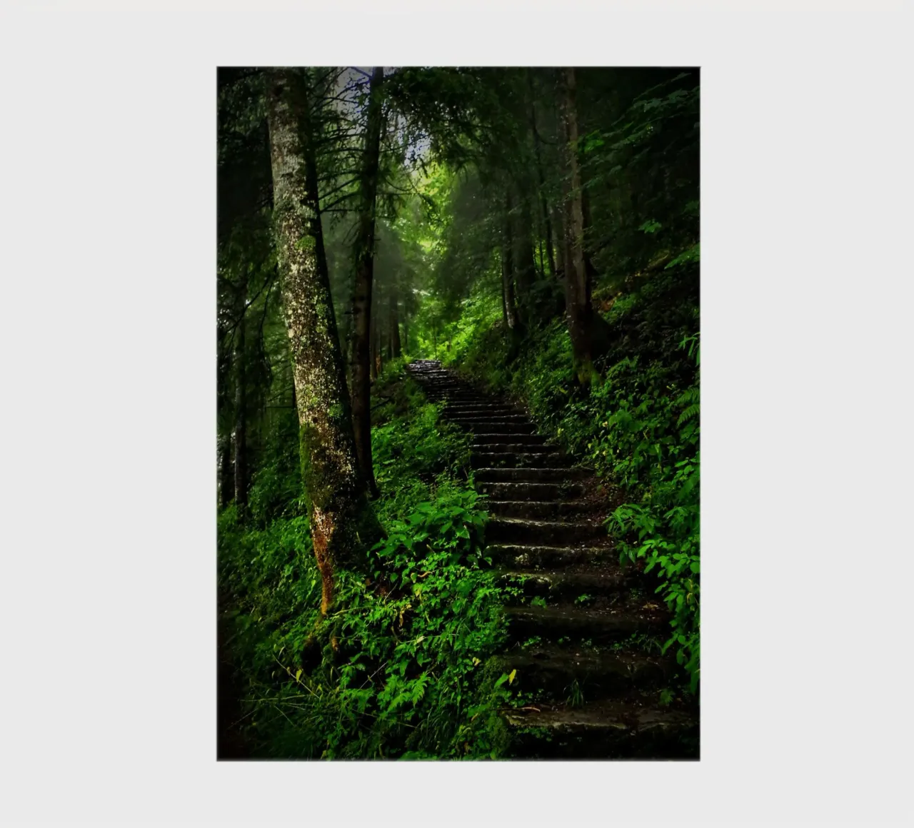Forest #02: The Ascent - A Mossy Stairway notebook by zenitt
