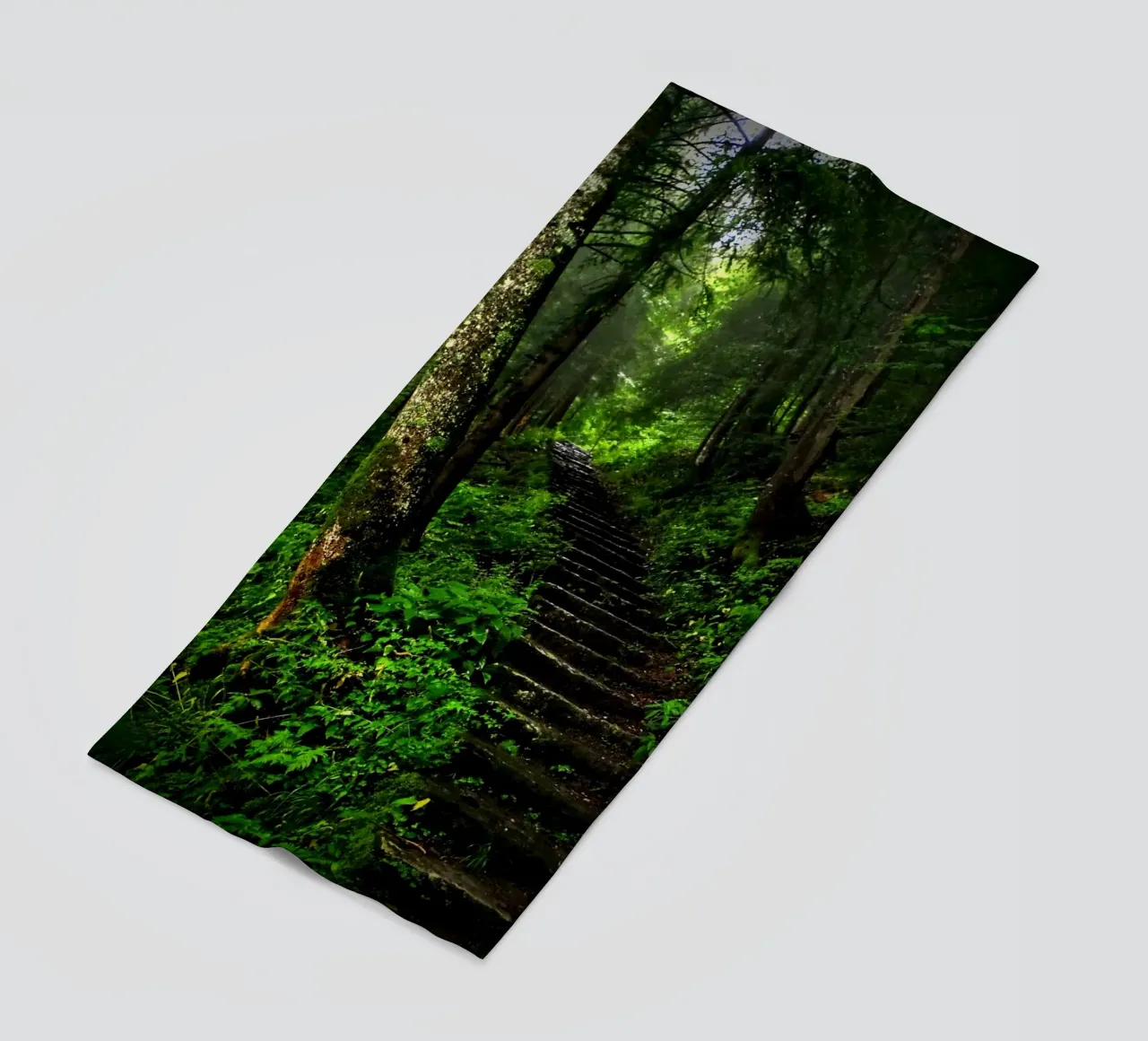 Forest #02: The Ascent - A Mossy Stairway telo mare da zenitt