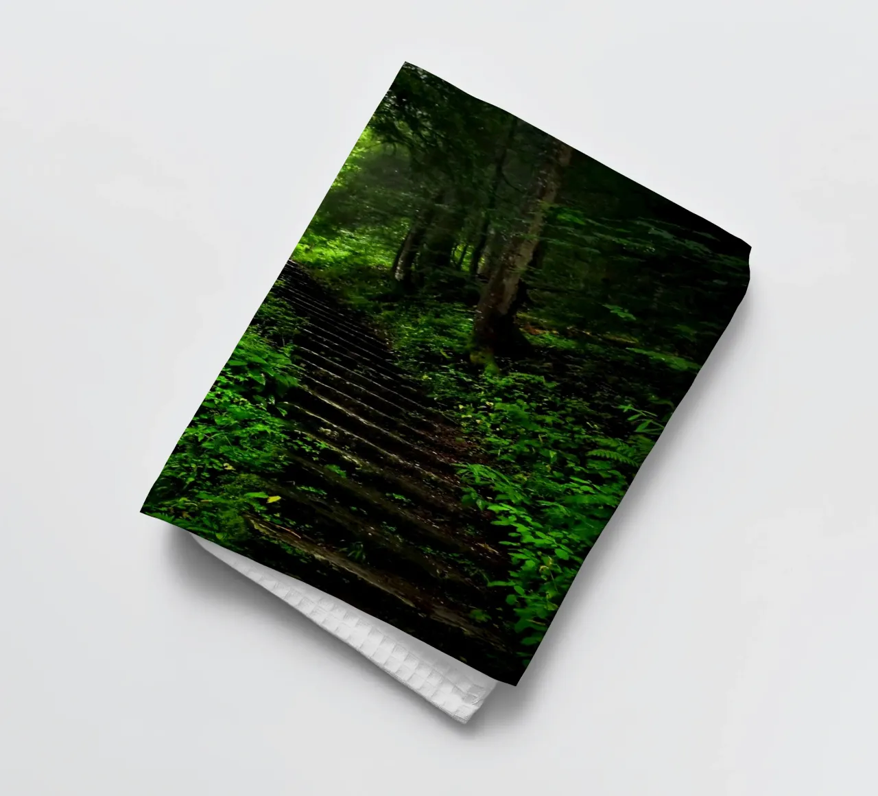 Forest #02: The Ascent - A Mossy Stairway canovaccio da cucina da zenitt