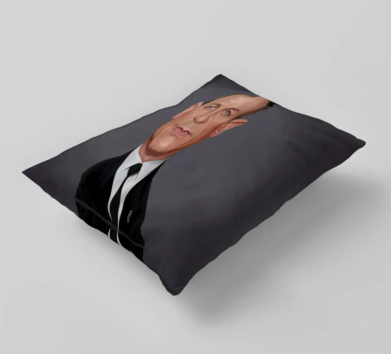 Daniel Craig cuscino da Rob Art | Illustration