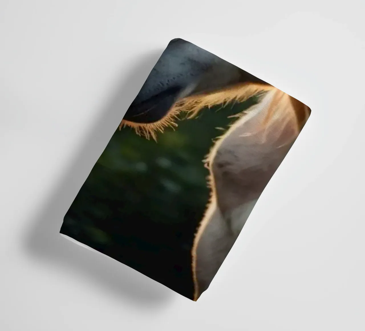 Une licorne majestueuse se tenant dans une clairière ensoleillée. serviette de bain de DesignDoodle