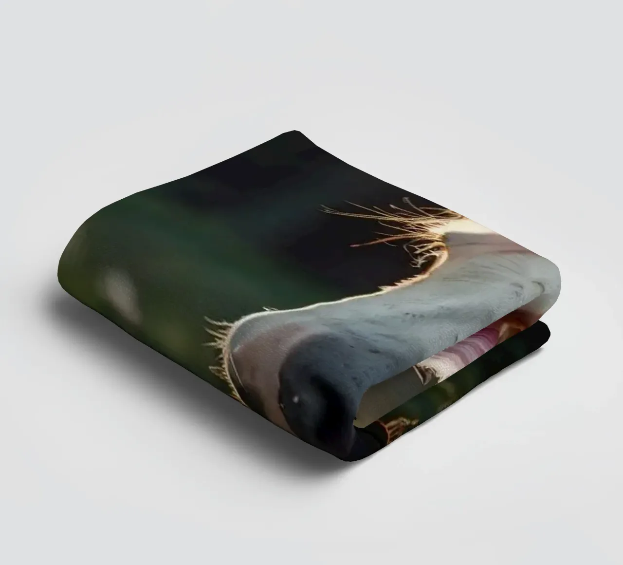 Une licorne majestueuse se tenant dans une clairière ensoleillée. serviette de bain de DesignDoodle