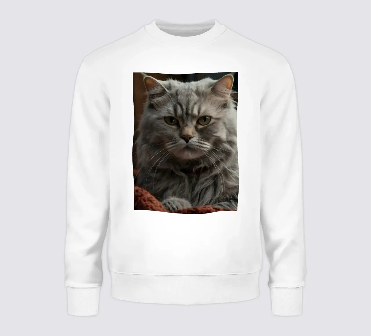 Un soffice gatto grigio riposa pacificamente su una coperta accogliente felpa da DesignDoodle