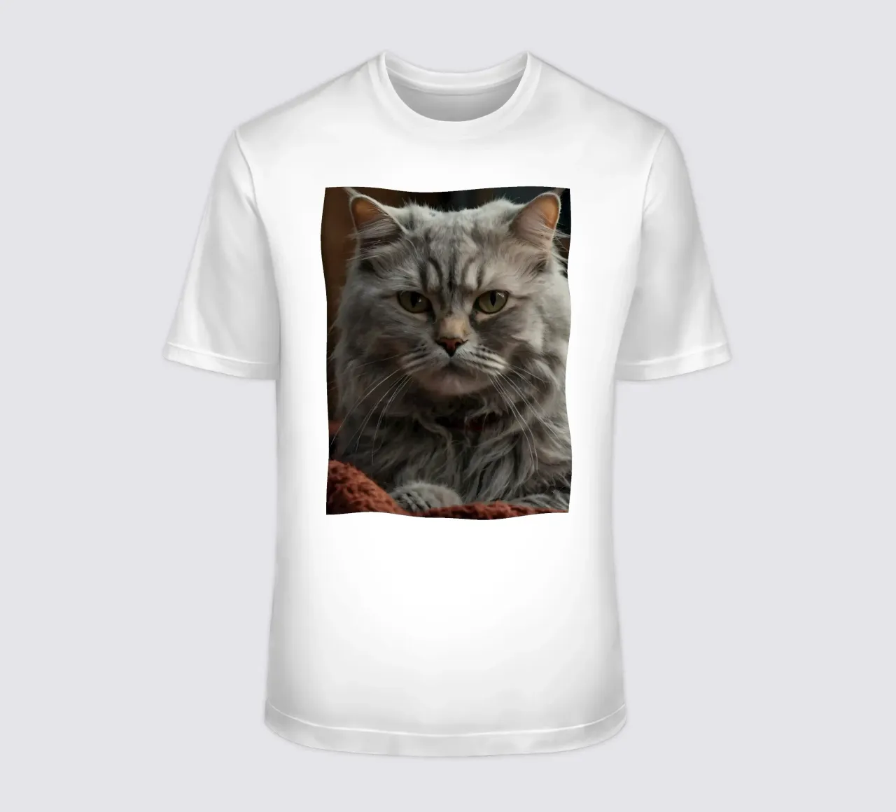 Un soffice gatto grigio riposa pacificamente su una coperta accogliente t-shirt da DesignDoodle