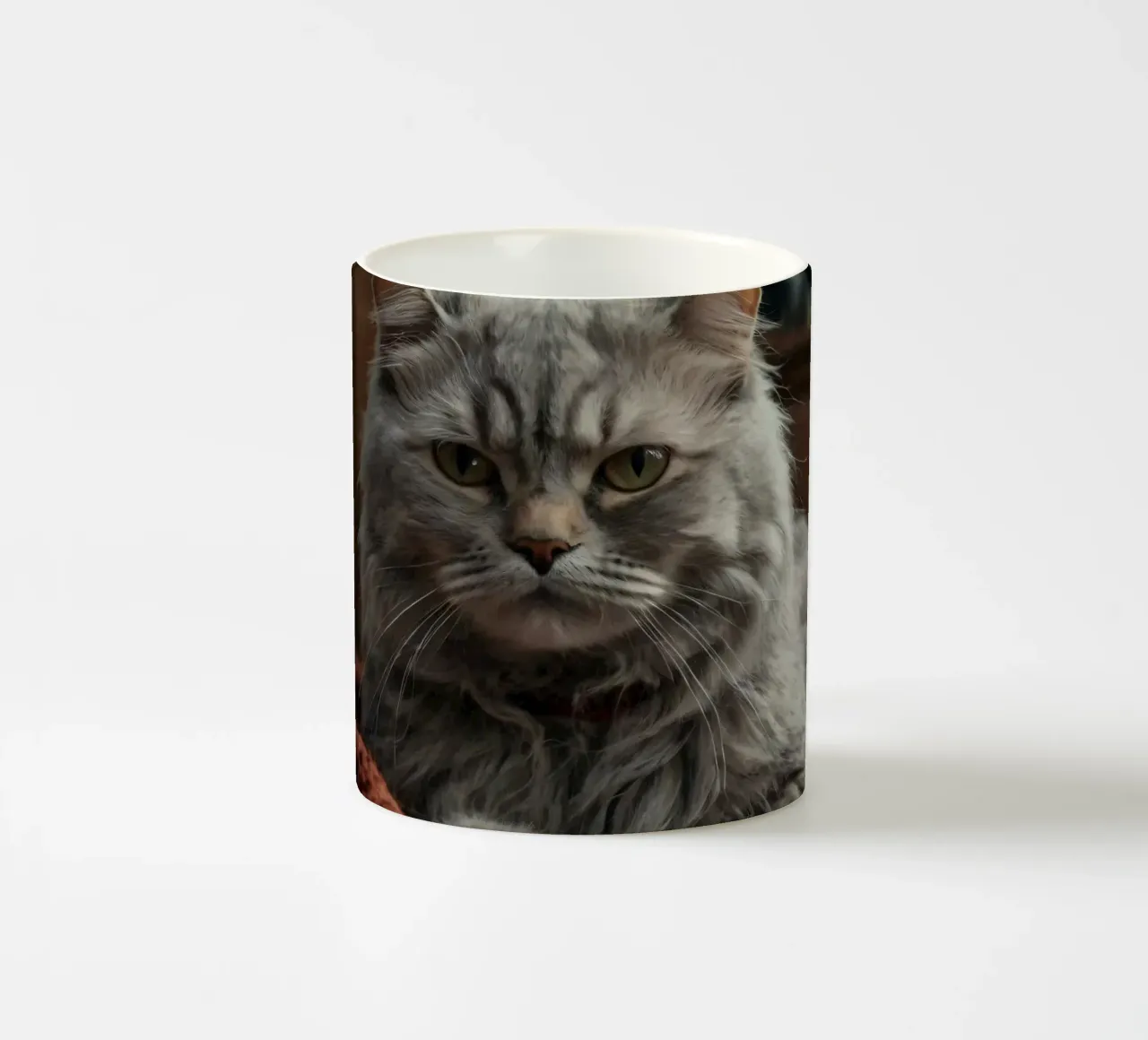Un soffice gatto grigio riposa pacificamente su una coperta accogliente tazza in ceramica da DesignDoodle
