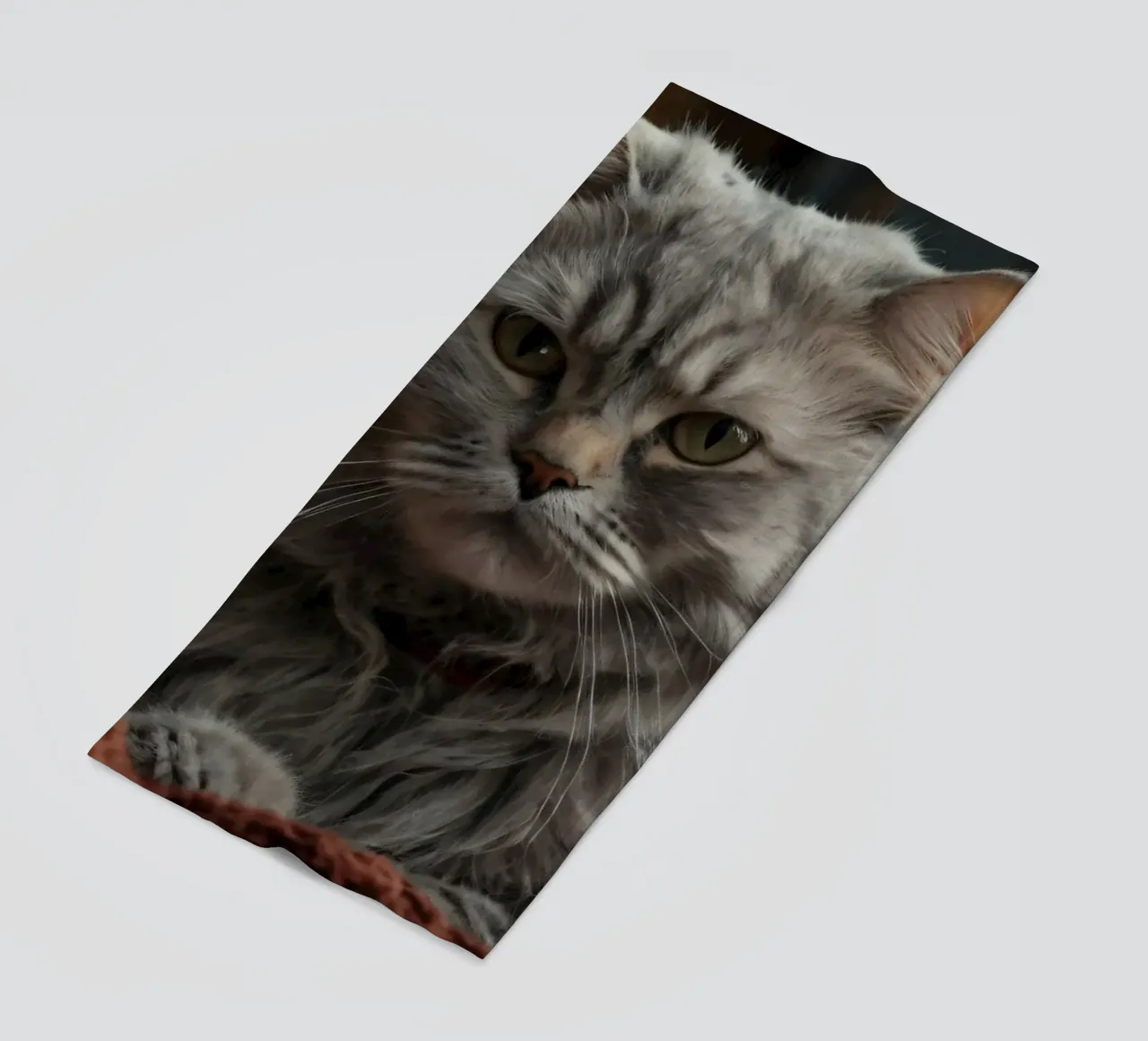 Un soffice gatto grigio riposa pacificamente su una coperta accogliente telo mare da DesignDoodle