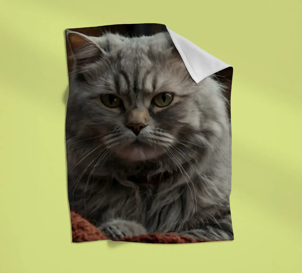 Un soffice gatto grigio riposa pacificamente su una coperta accogliente coperta in pile da DesignDoodle