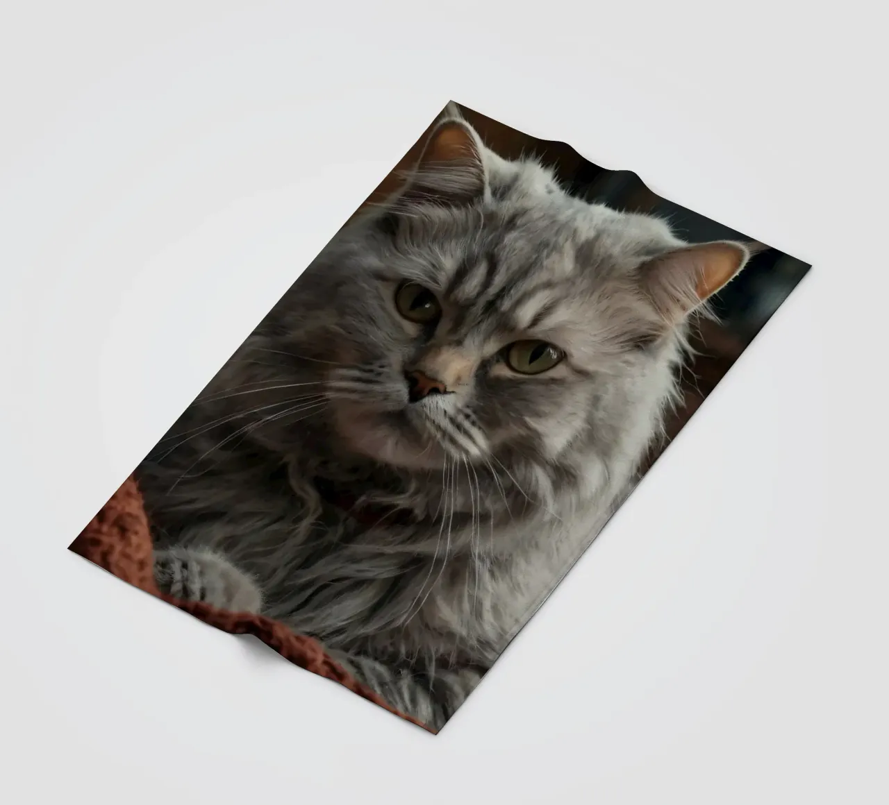 Un soffice gatto grigio riposa pacificamente su una coperta accogliente coperta in pile da DesignDoodle