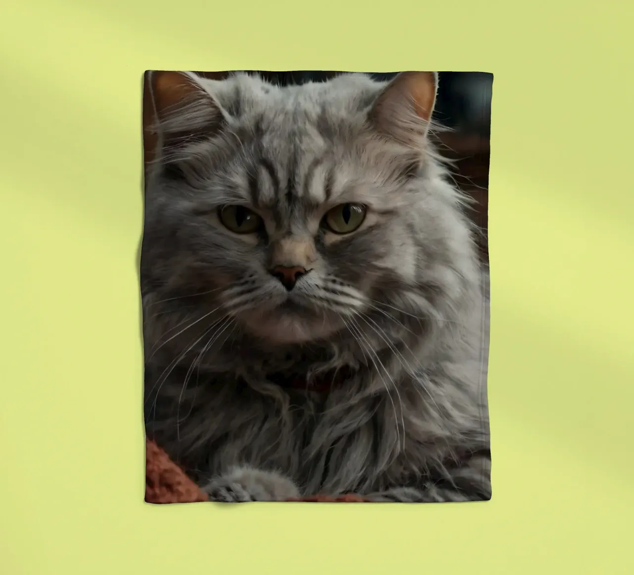 Un soffice gatto grigio riposa pacificamente su una coperta accogliente coperta in pile da DesignDoodle