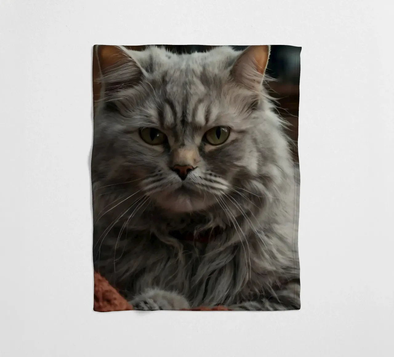 Un soffice gatto grigio riposa pacificamente su una coperta accogliente coperta in pile da DesignDoodle