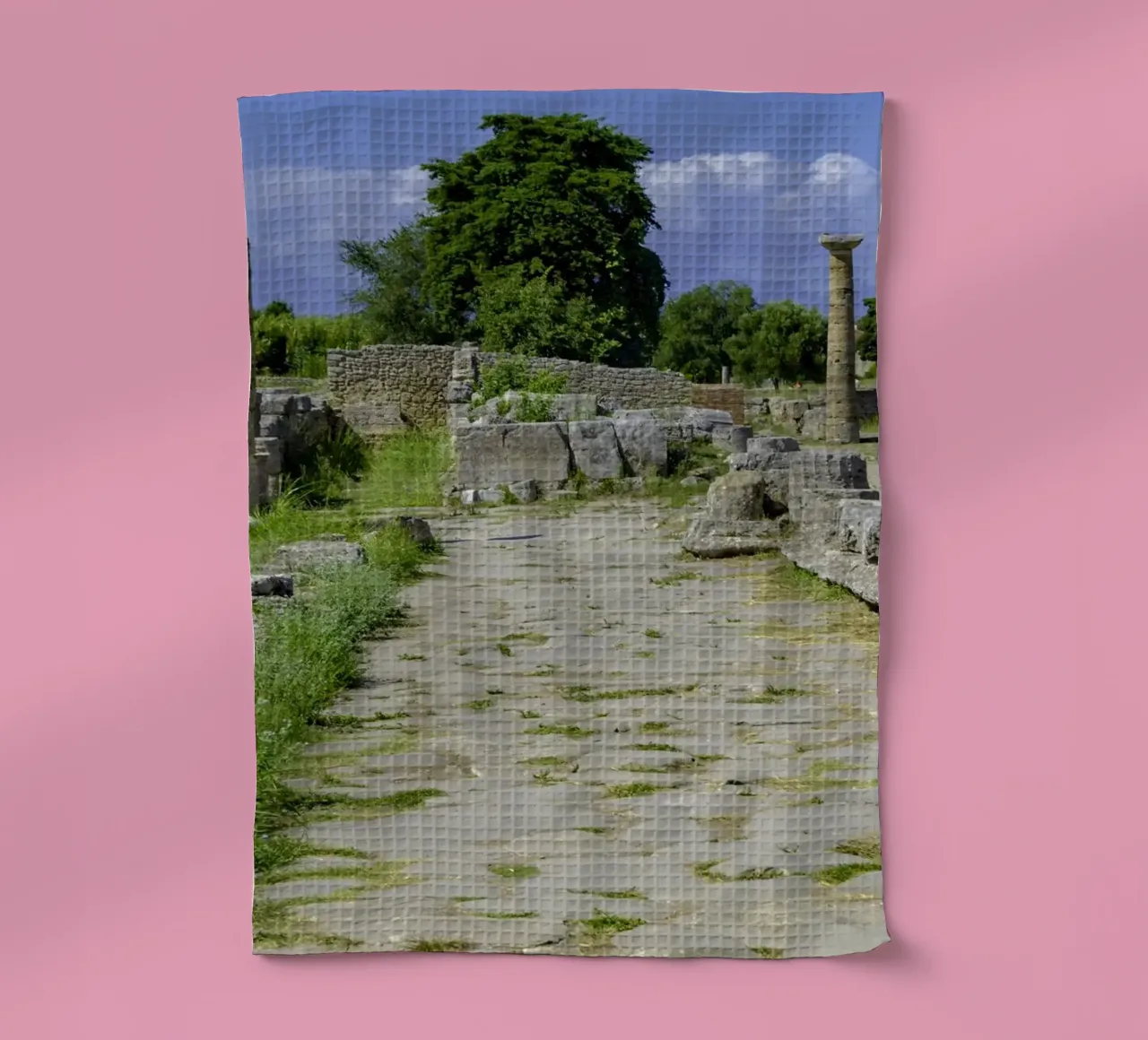 Tempio greco classico presso le rovine dell'antica città di Paestum, Ita canovaccio da cucina da peuceta_BA
