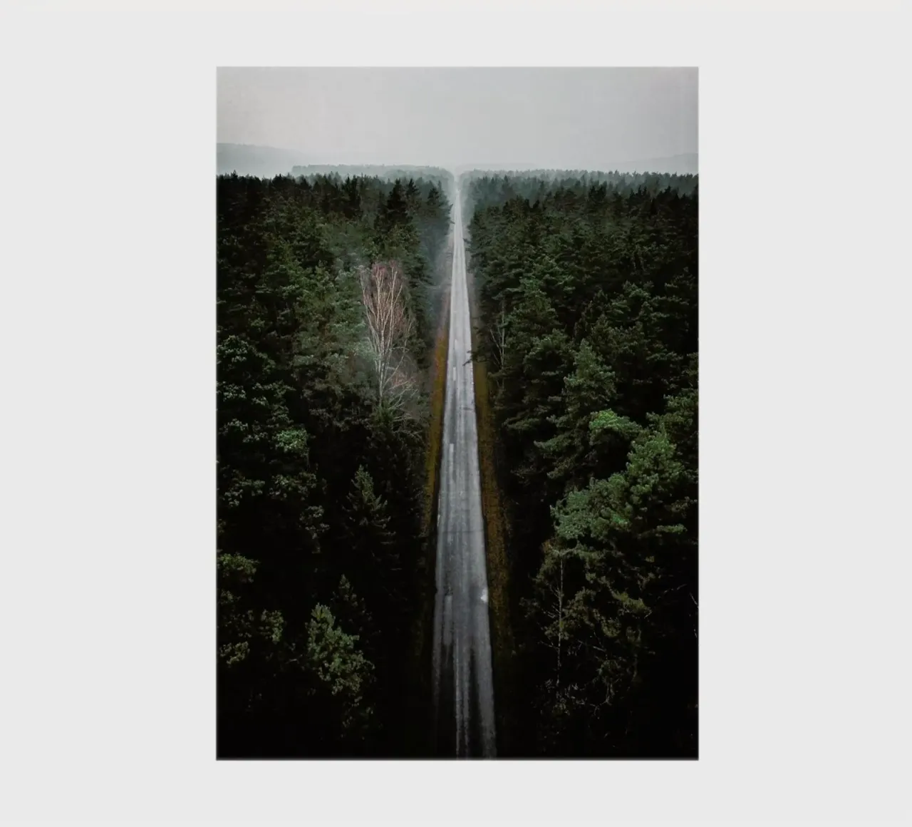 The Long Awaited Path @AndriusGailiunas notebook by EyeEm Mobile GmbH