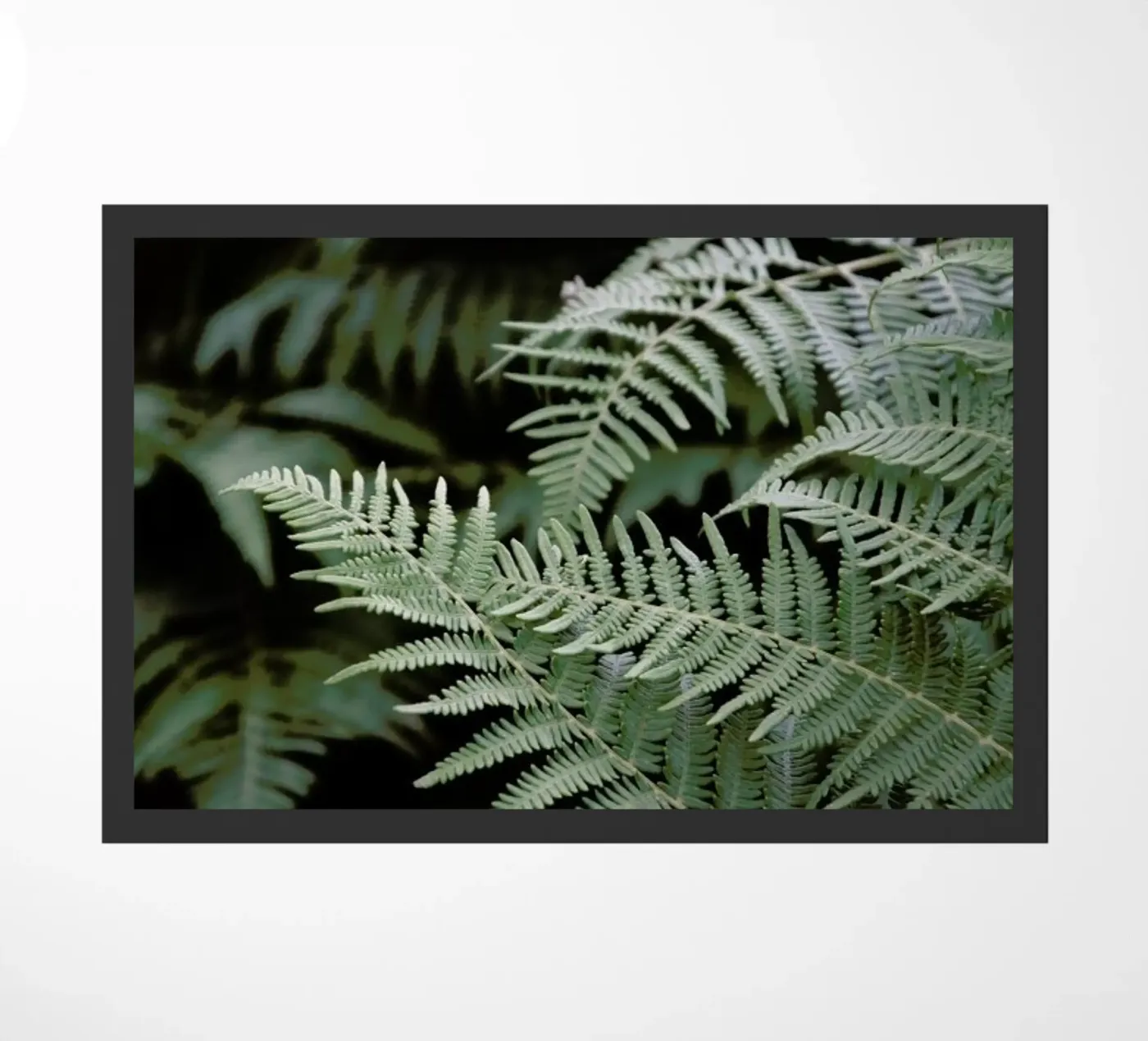 Forest Mood Fußmatte von Studio Nahili