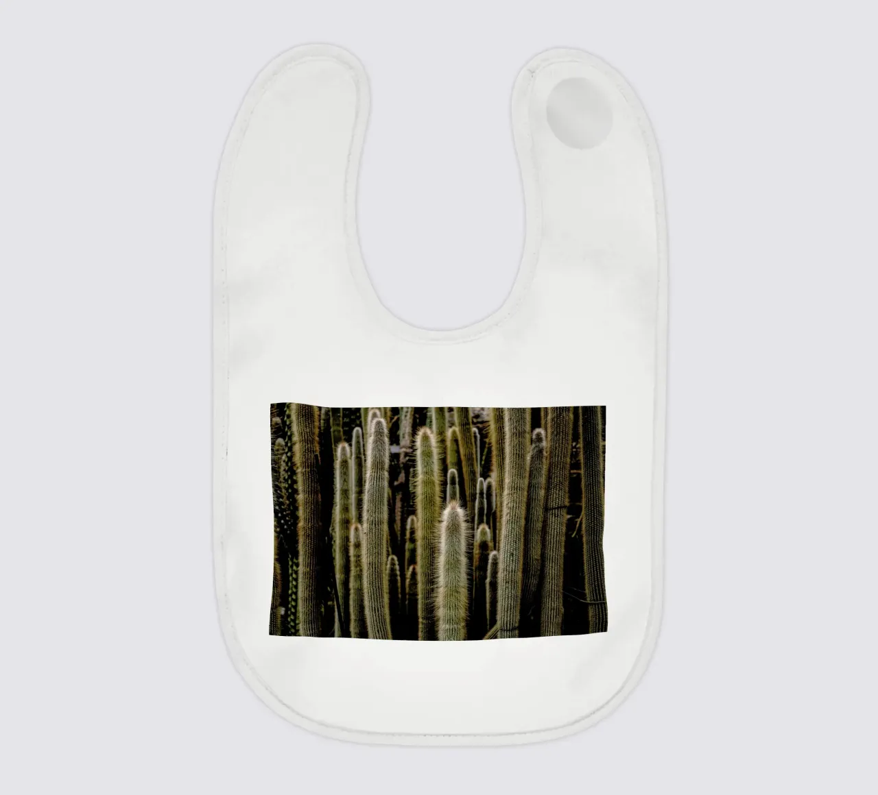 Sierras bavaglino da Flora & Fauna