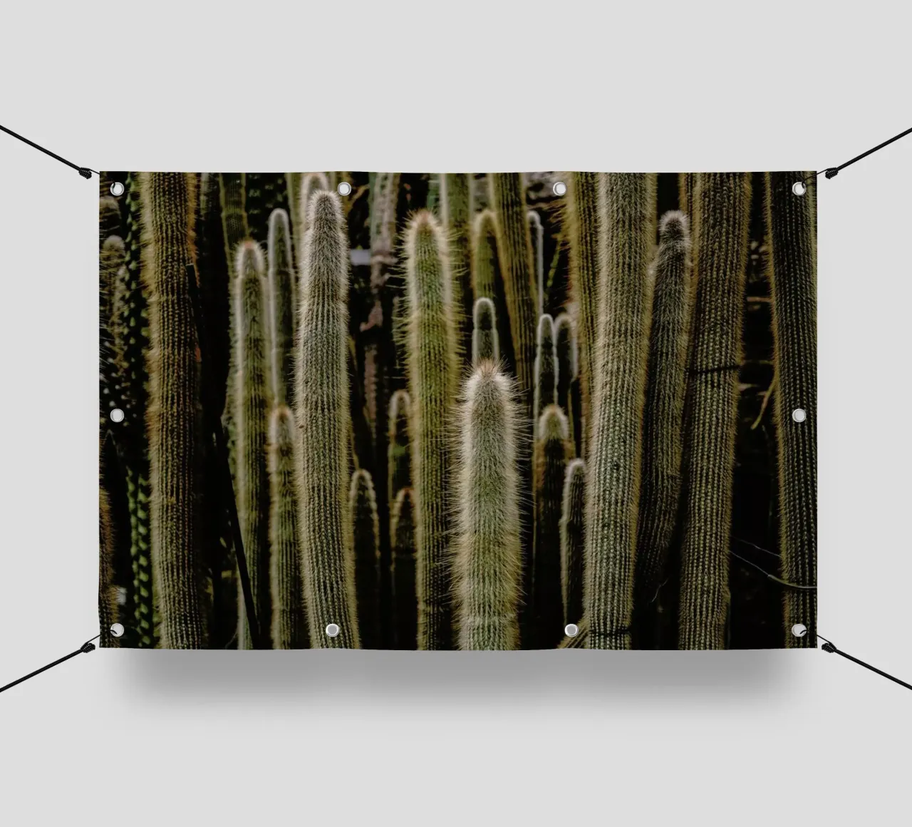Sierras telo in pvc da Flora & Fauna