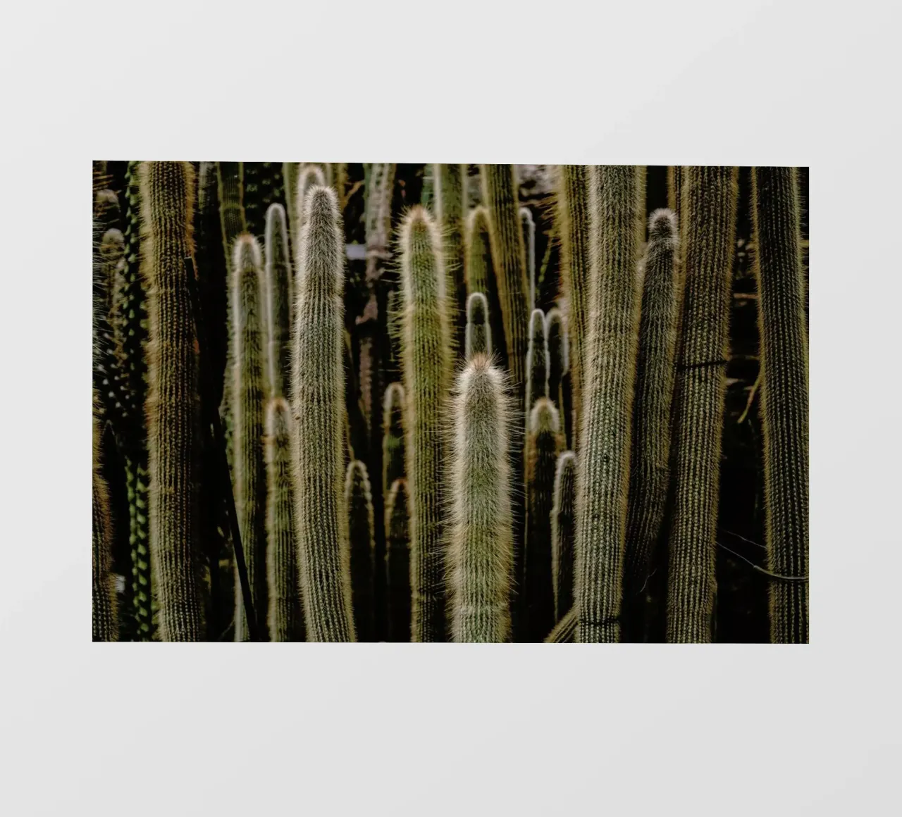 Sierras telo in pvc da Flora & Fauna