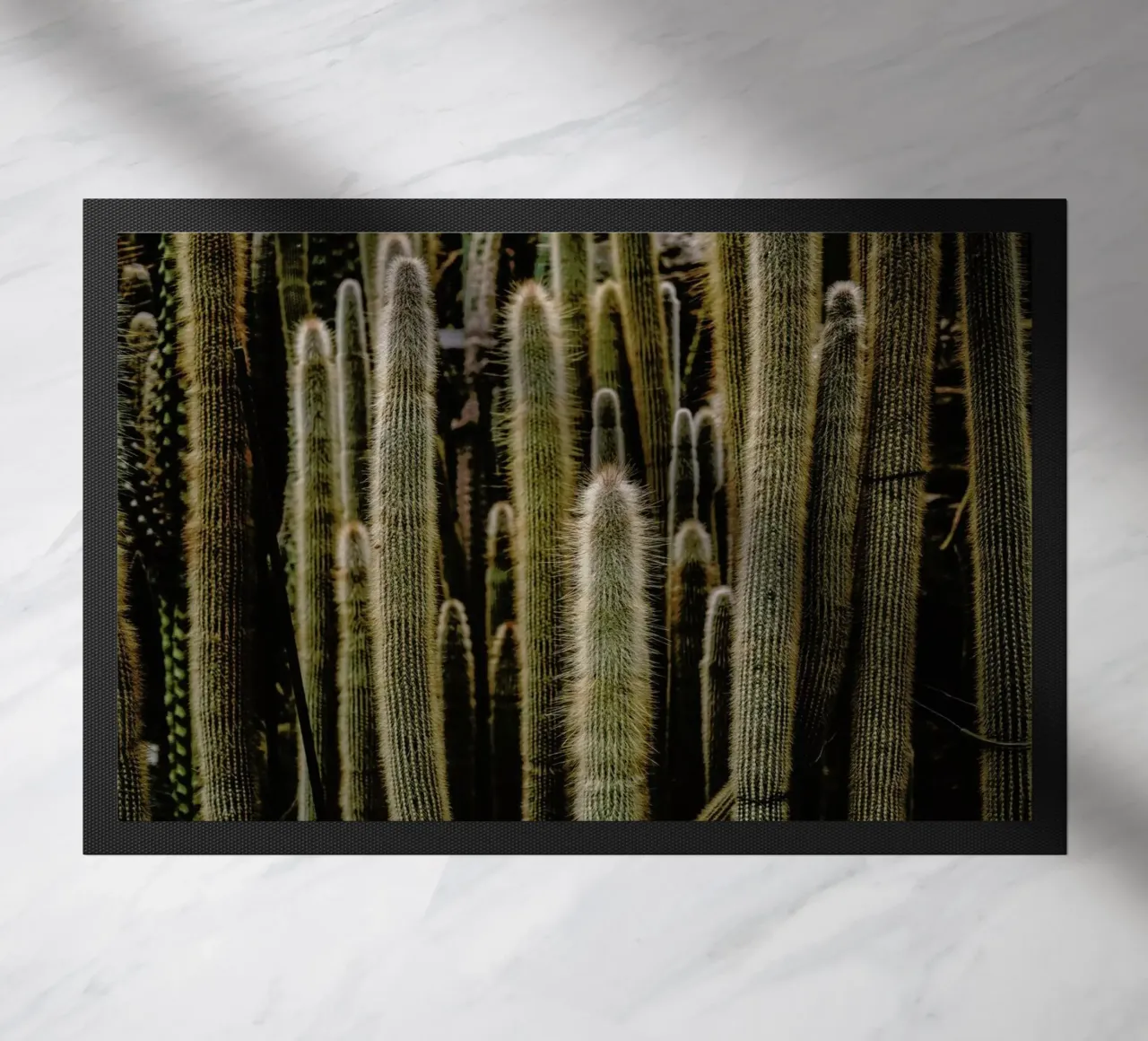 Sierras zerbino da Flora & Fauna