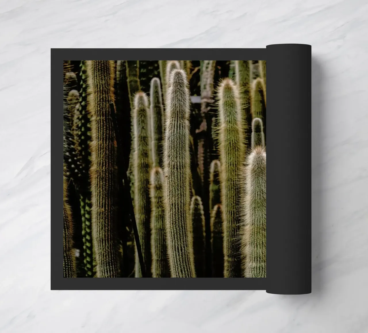 Sierras zerbino da Flora & Fauna