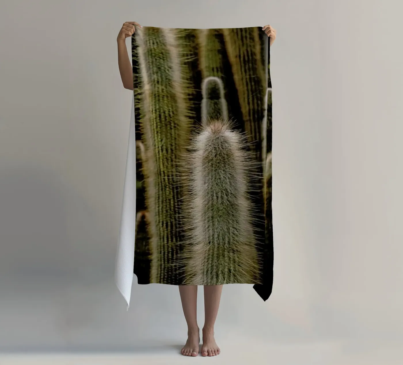 Sierras telo mare da Flora & Fauna