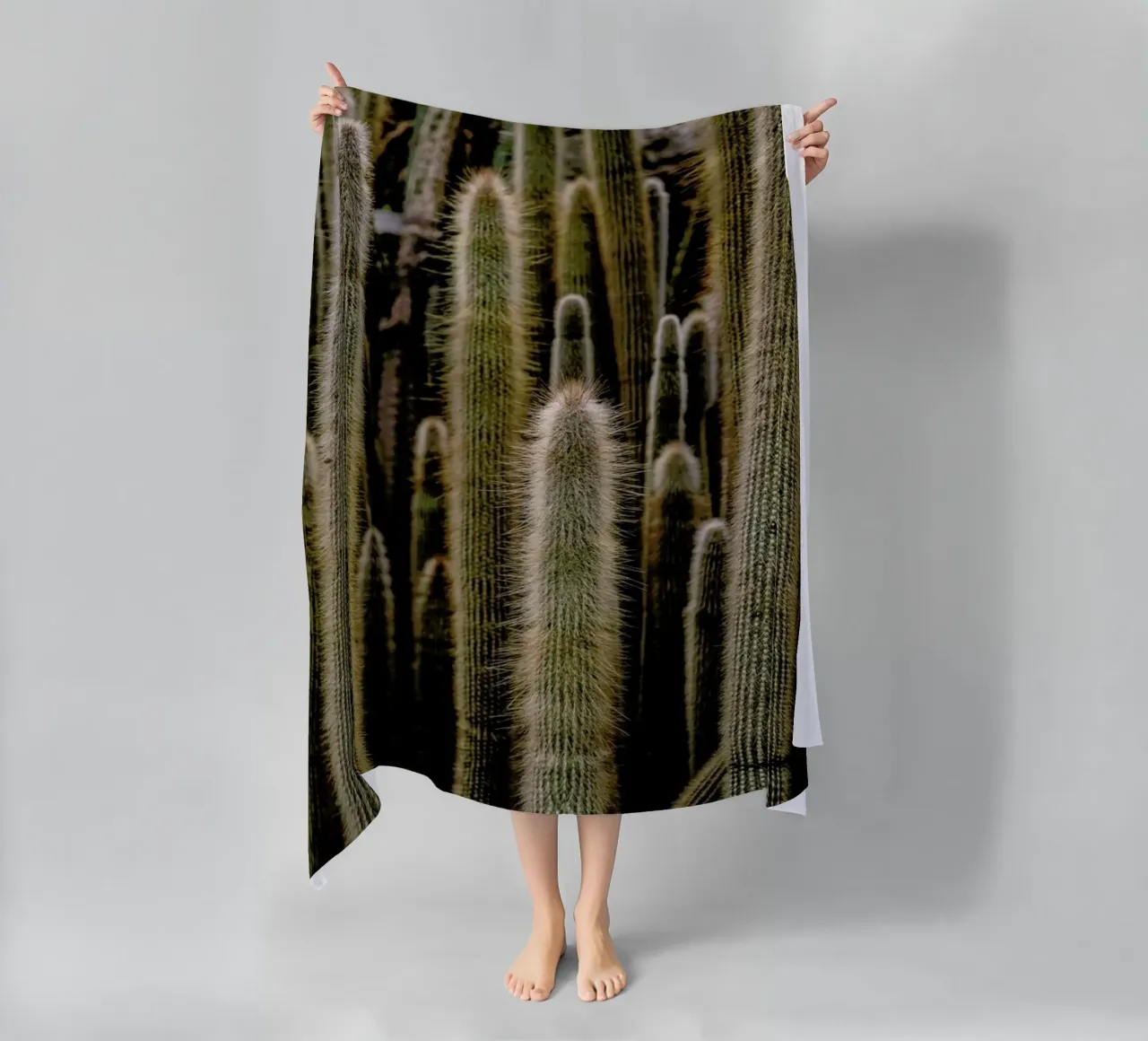 Sierras telo mare da Flora & Fauna