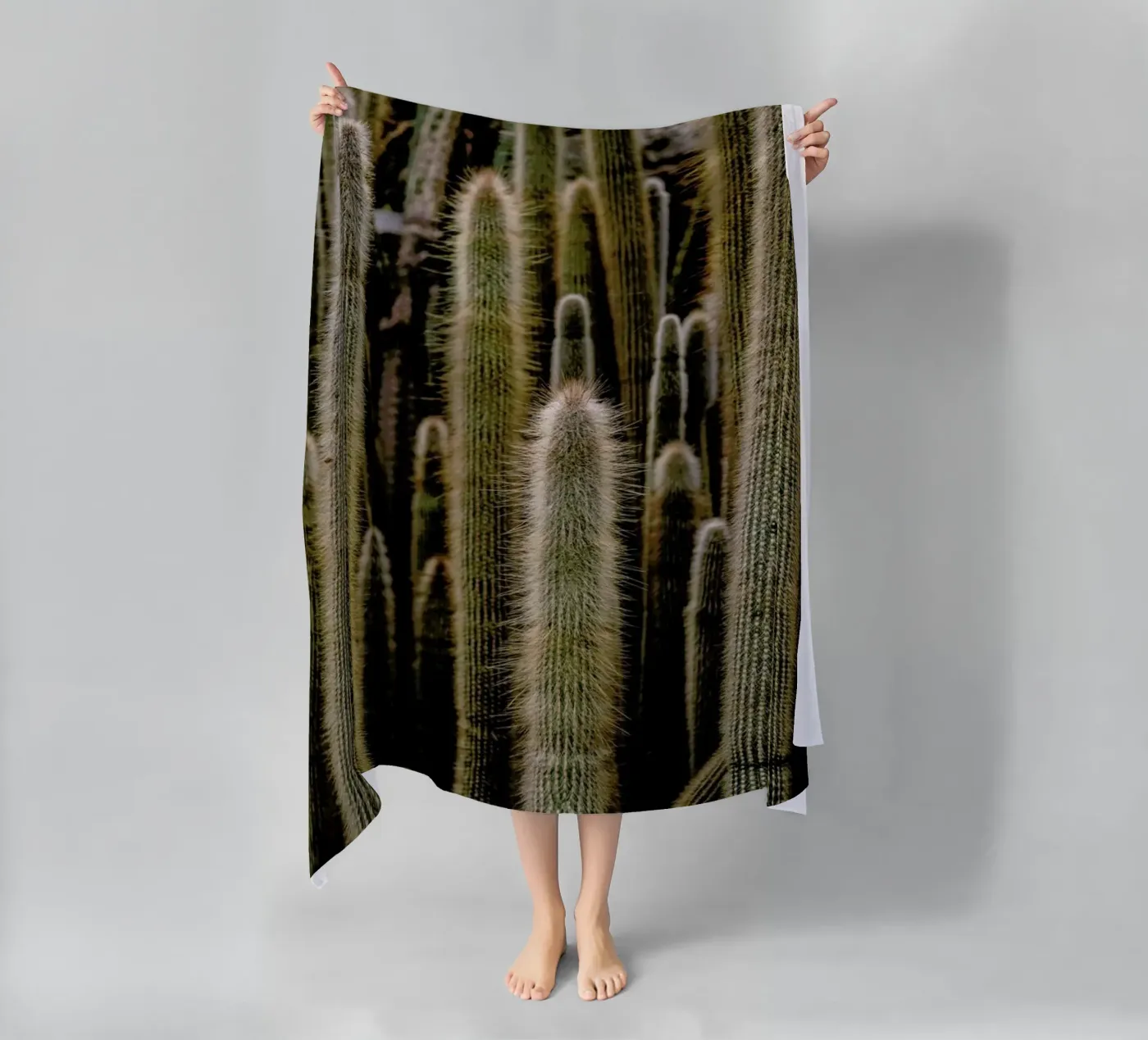 Sierras telo mare da Flora & Fauna