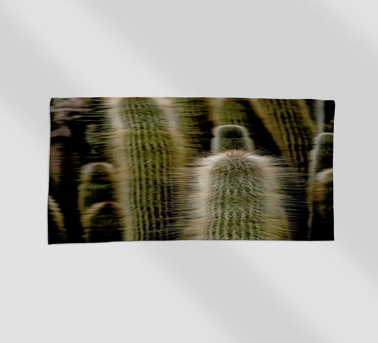 Sierras telo mare da Flora & Fauna