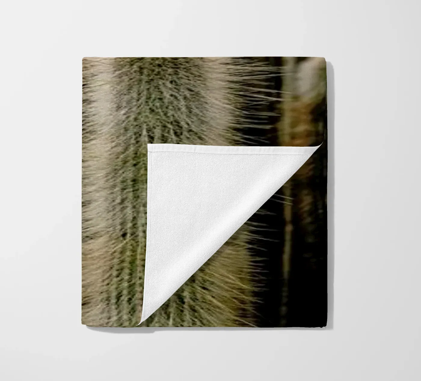 Sierras telo mare da Flora & Fauna