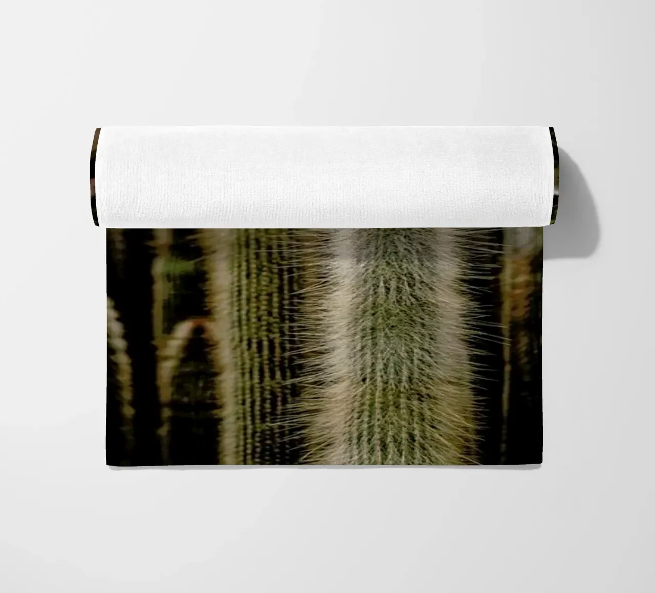 Sierras telo mare da Flora & Fauna