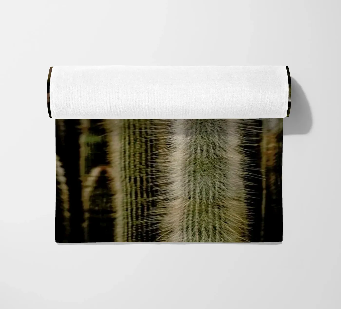 Sierras telo mare da Flora & Fauna