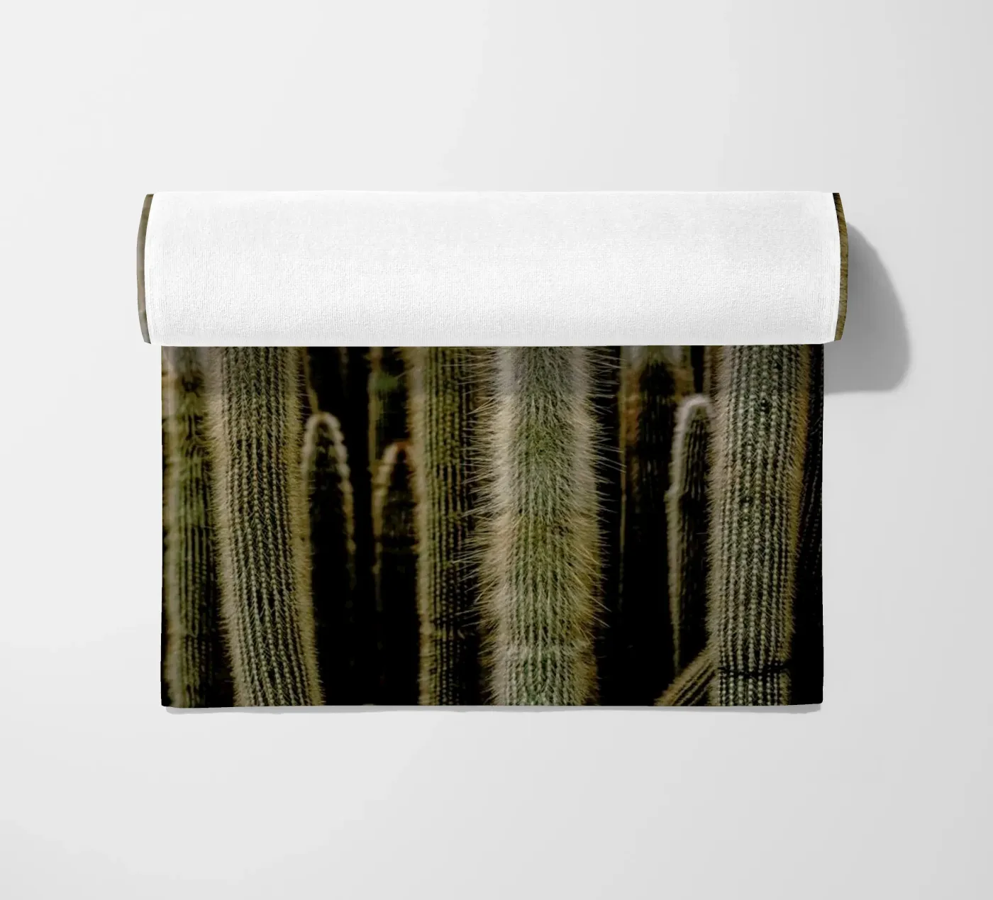 Sierras telo mare da Flora & Fauna