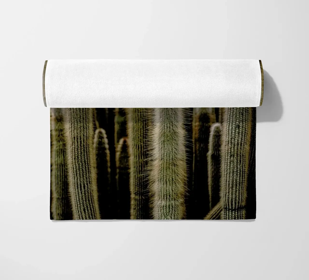 Sierras telo mare da Flora & Fauna