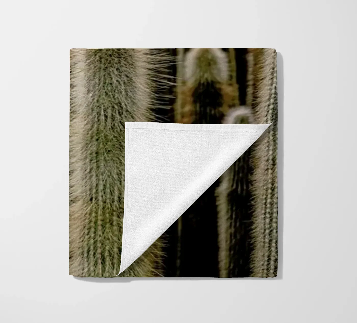 Sierras telo mare da Flora & Fauna