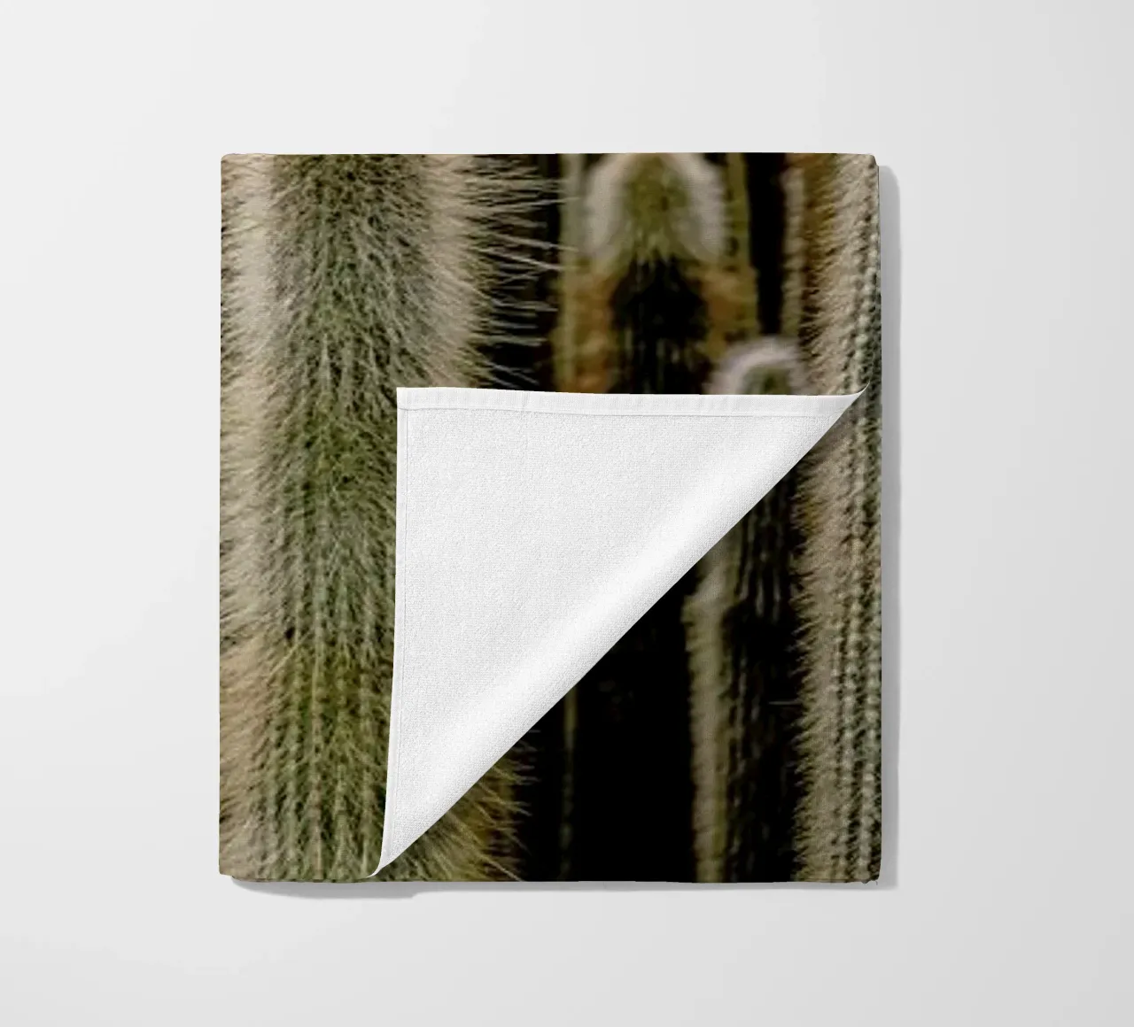 Sierras telo mare da Flora & Fauna