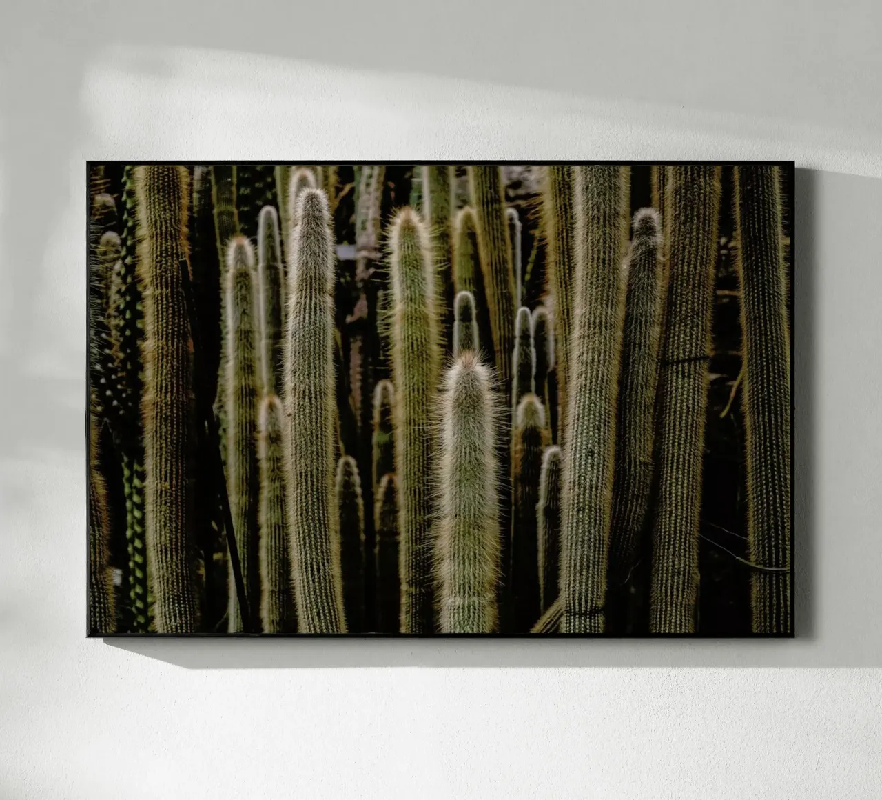 Sierras plexiglass da Flora & Fauna