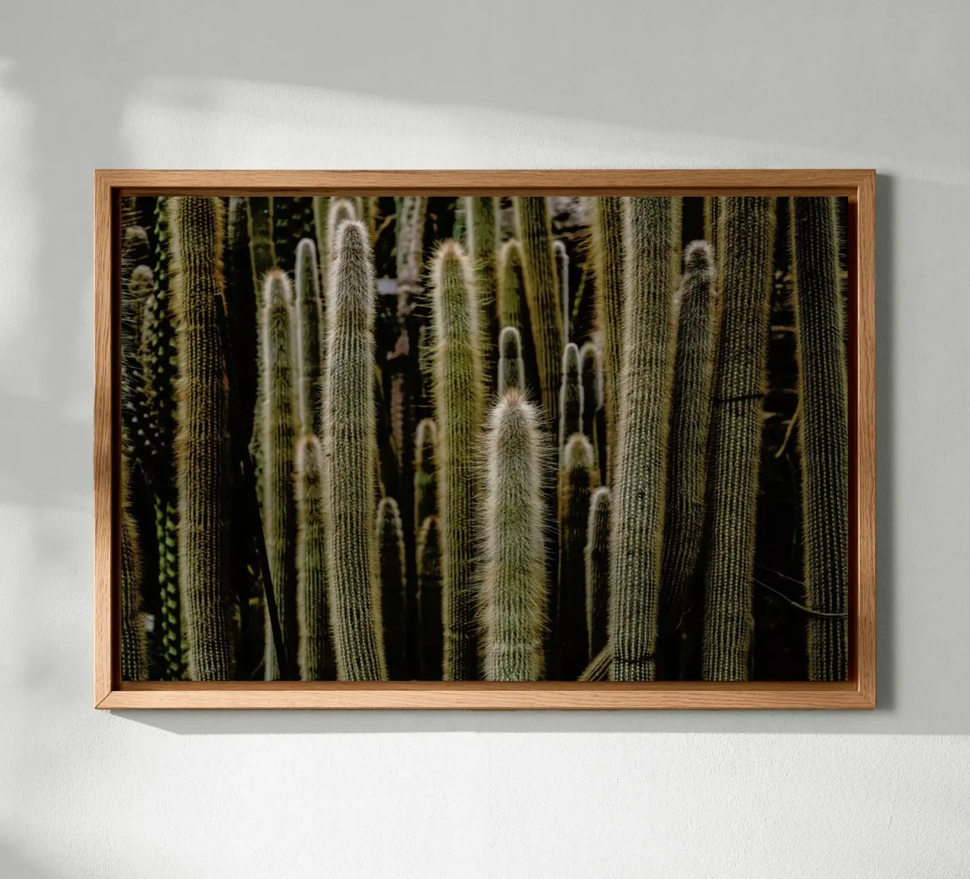 Sierras pannello forex da Flora & Fauna