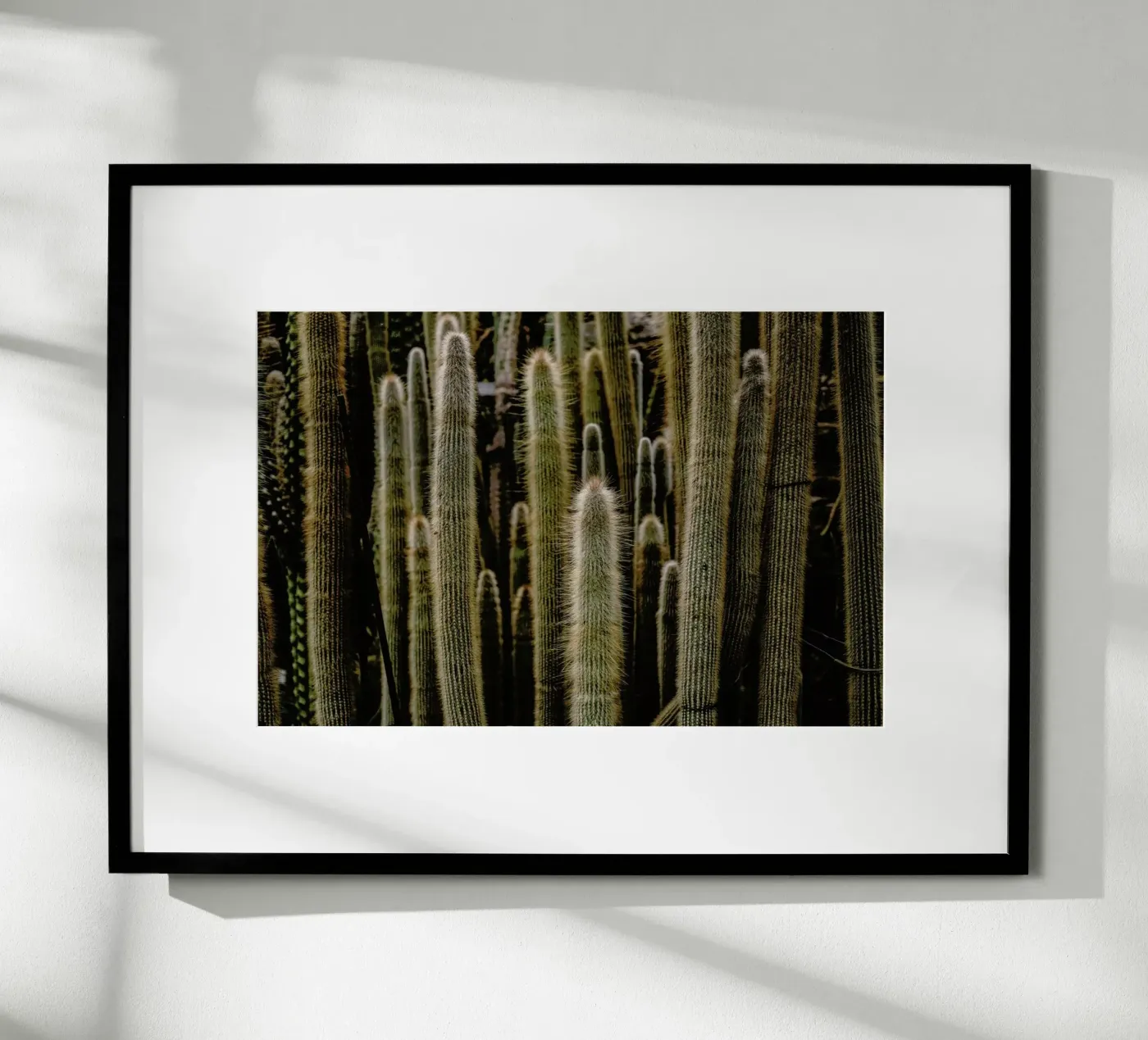 Sierras poster by Flora & Fauna