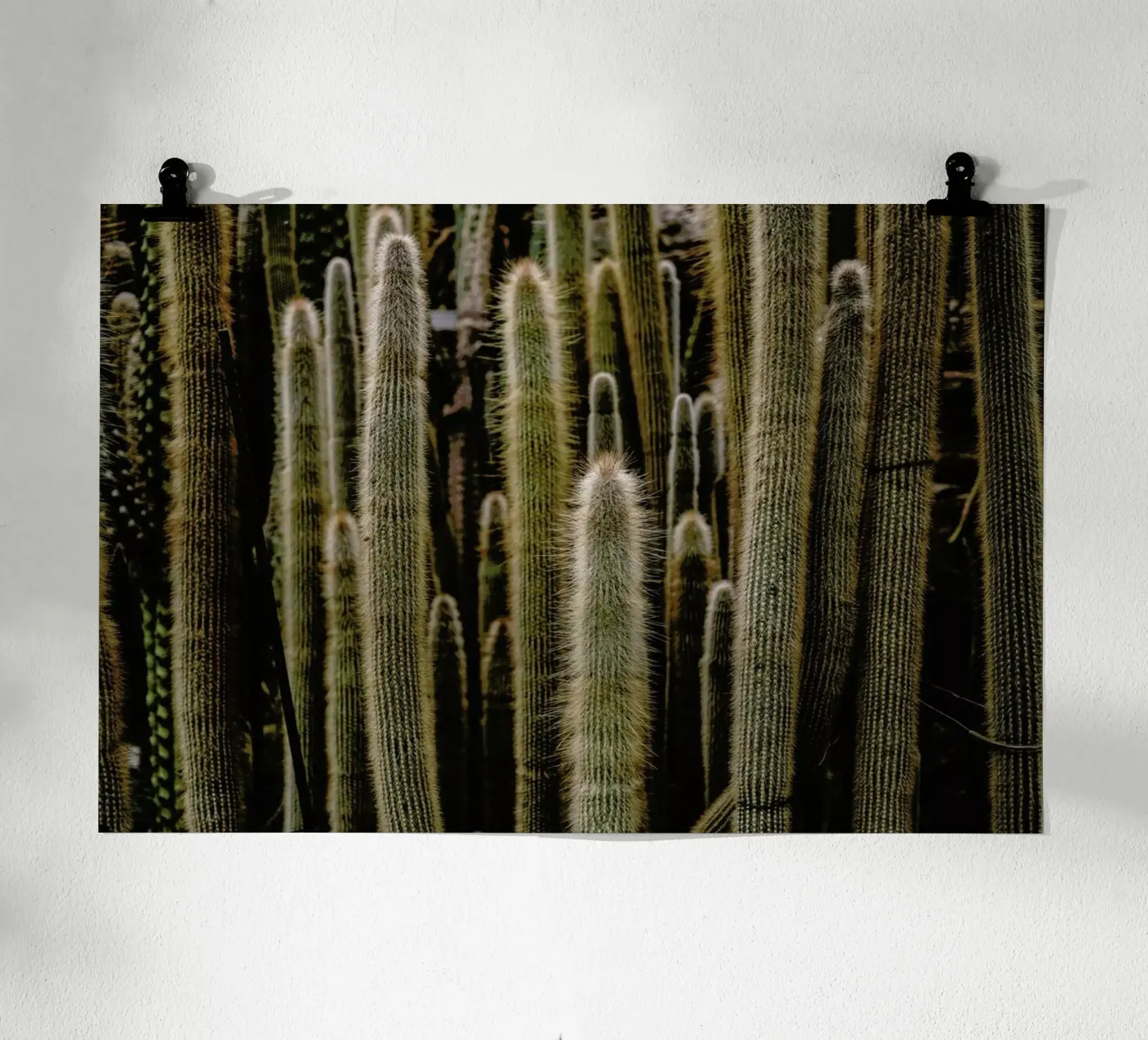 Sierras poster by Flora & Fauna