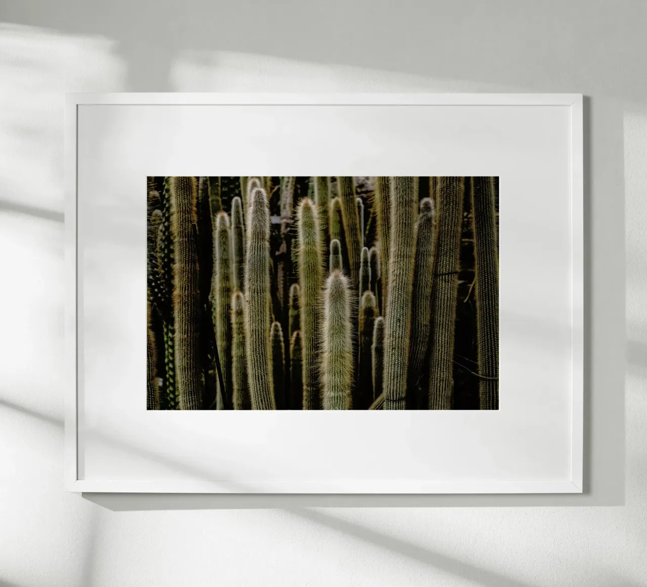 Sierras carta hahnemühle da Flora & Fauna