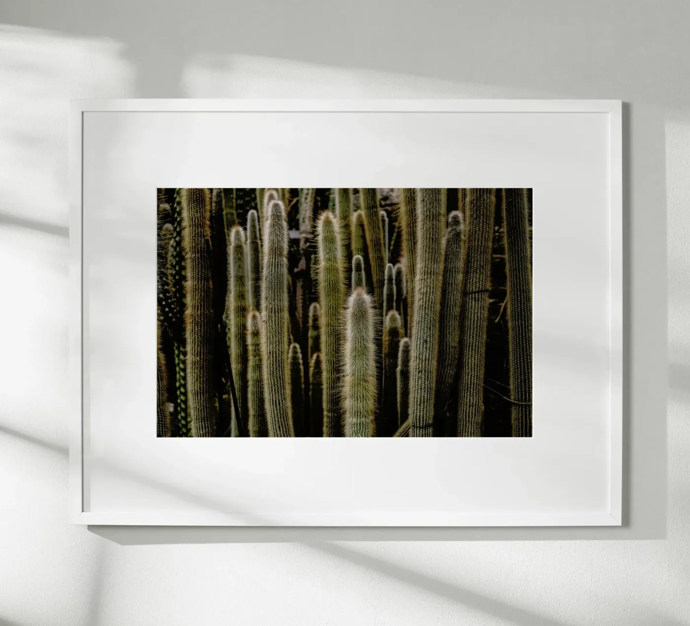 Sierras poster by Flora & Fauna